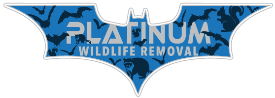 Southgate Wildlife Removal